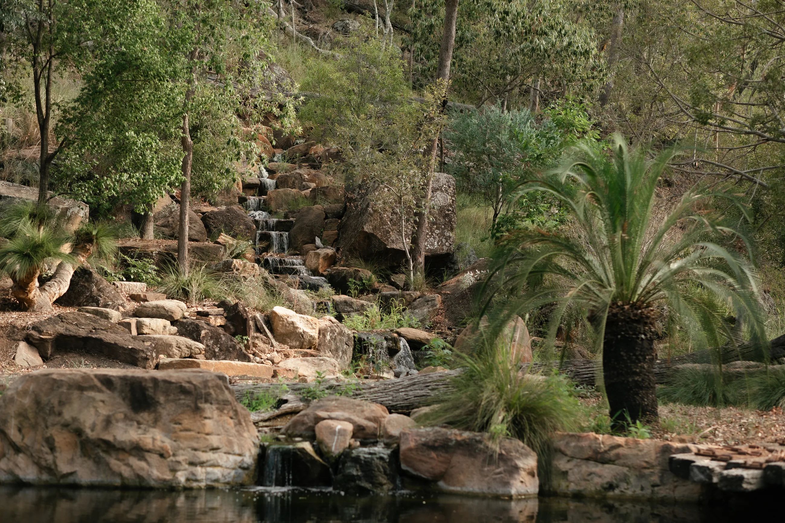 The landscaped garden at the Ace of Spades property near Toowoomba: a rock waterfall, pond, Canary palm and grass trees